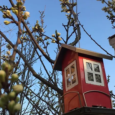 Le Rez De Jardin * Illkirch-Graffenstaden
