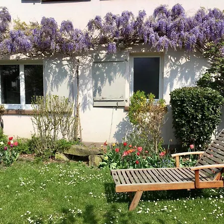 Le Rez De Jardin